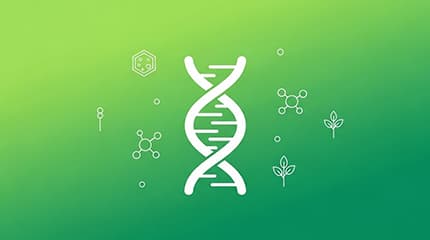 Grade A/L : Biology (English Medium)