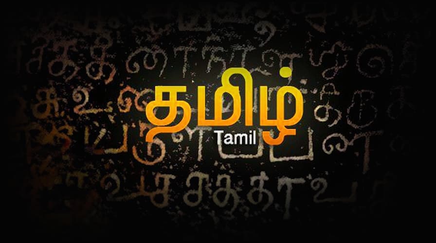 Grade 3 : Tamil (Tamil Medium)